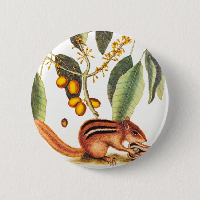 Badge Rond 5 Cm Illustration vintage de tamia (Devant)