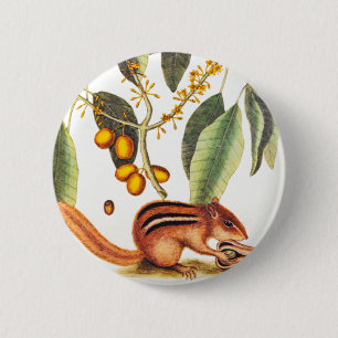 Badge Rond 5 Cm Illustration vintage de tamia
