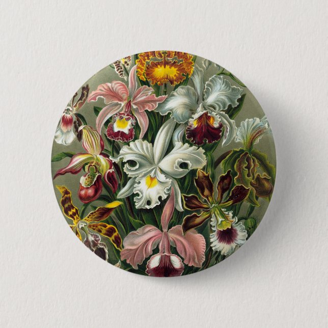 Badge Rond 5 Cm Illustration vintage d'orchidées (Devant)