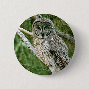 BADGE ROND 5 CM IMG_0297_2