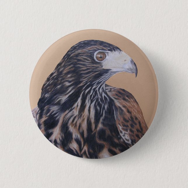 Badge Rond 5 Cm Immature Harris Hawk (Devant)