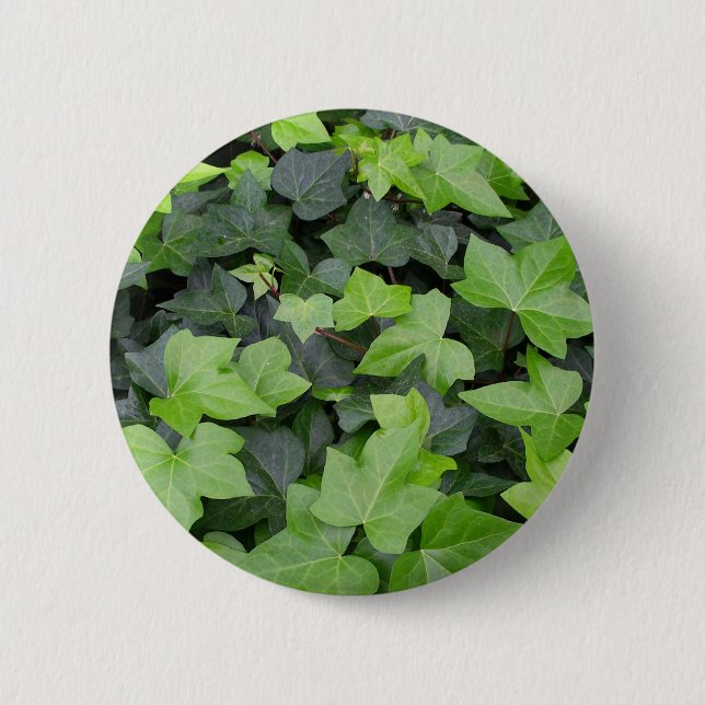 Badge Rond 5 Cm Impression botanique verte Ivy (Devant)