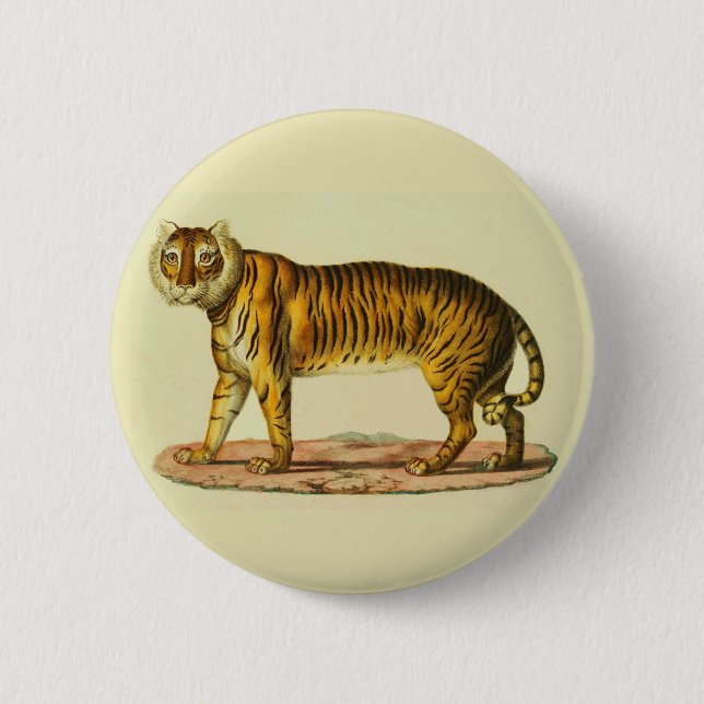 Badge Rond 5 Cm Impression tigre 1824 (Devant)