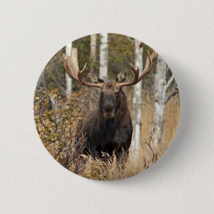Badge Rond 5 Cm Impressionnant orignal