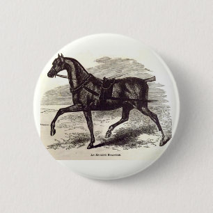 Badge Rond 5 Cm Imprimé au 19e siècle Un cheval anglais Roadster