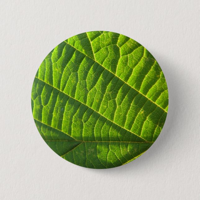 Badge Rond 5 Cm imprimé vert cool (Devant)