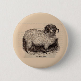Badge Rond 5 Cm Imprimerie du 19e siècle moutons des Highlands