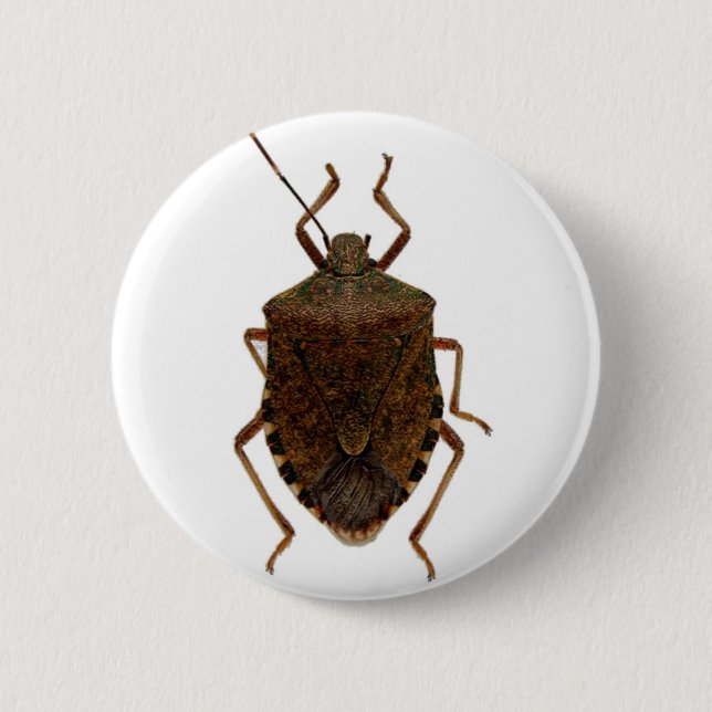 Badge Rond 5 Cm Insecte de puanteur (Devant)