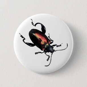 Badge Rond 5 Cm Insecte noir et rouge de scarabée