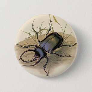 Badge Rond 5 Cm Insectes et insectes vintages, Rhino Rhinoceros Be