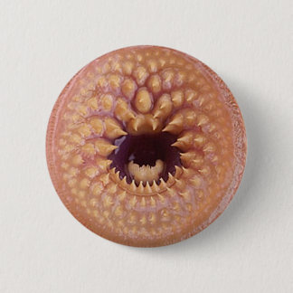 Badge Rond 5 Cm insigne de bitey