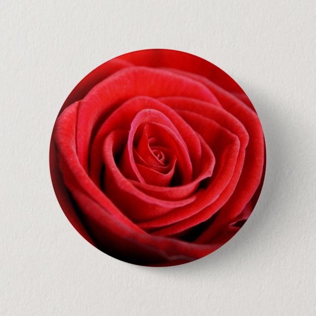 Badge Rond 5 Cm Insigne de bouton de plan rapproché de rose rouge (Devant)