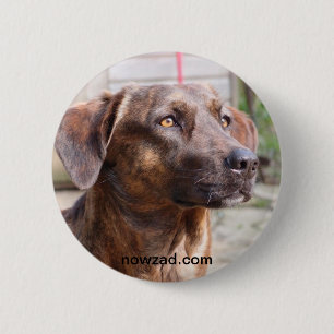 Badge Rond 5 Cm Insigne de Brin de chien de délivrance de Nowzad