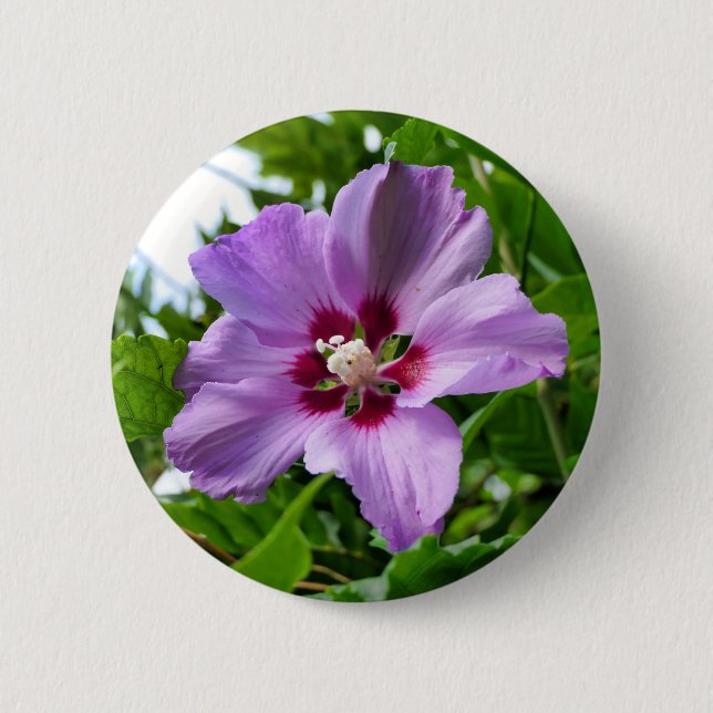 Badge Rond 5 Cm Insigne Hibiscus (Devant)