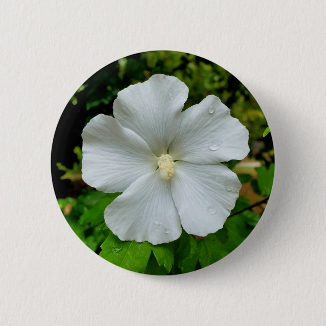 Badge Rond 5 Cm Insigne Hibiscus (Devant)
