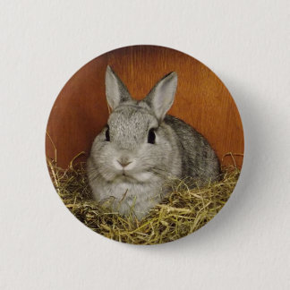 Badge Rond 5 Cm Insigne mignon de bouton de lapin