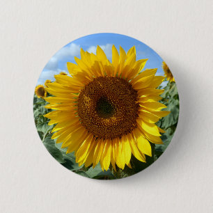 Badge Rond 5 Cm Insigne rond de tournesol