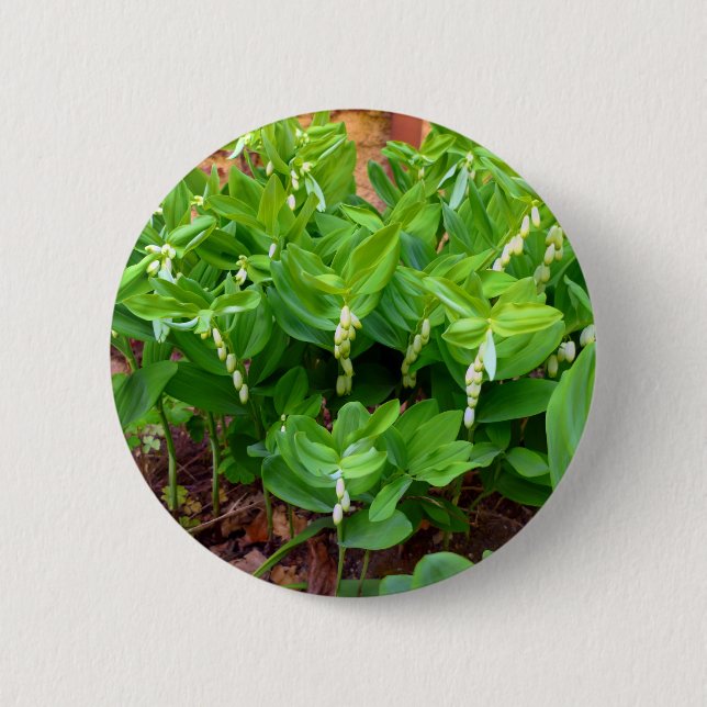 Badge Rond 5 Cm Insigne Solomons Seal (Devant)