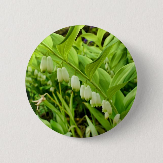 Badge Rond 5 Cm Insigne Solomons Seal (Devant)
