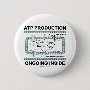 Badge Rond 5 Cm Intérieur actuel de production de triphosphate
