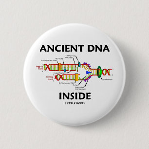 Badge Rond 5 Cm Intérieur antique d'ADN (humour de reproduction