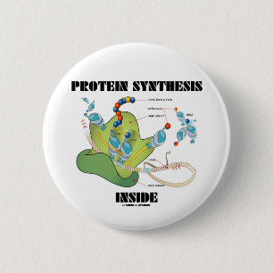 Badge Rond 5 Cm Intérieur de synthèse de protéine (biologie