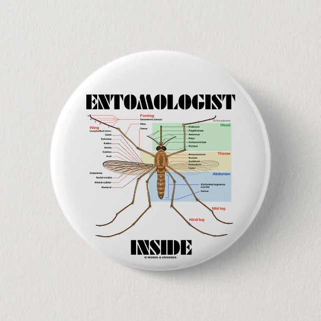 Badge Rond 5 Cm Intérieur d'entomologiste (anatomie de moustique) (Devant)