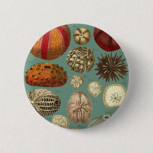 Badge Rond 5 Cm Intestina et molluscums Linnaei