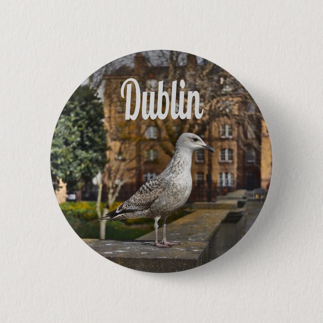 Badge Rond 5 Cm Irlande de Dublin Bird sur mur de briques (Devant)