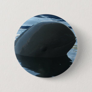 Badge Rond 5 Cm Irrawaddy Dolphin Peek-A-Boo