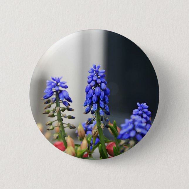 Badge Rond 5 Cm jacinthe de raisin (Devant)