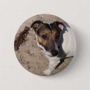 Badge Rond 5 Cm Jack Russell klein Hund