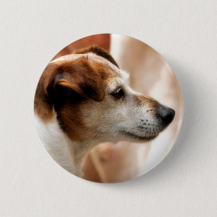 BADGE ROND 5 CM JACK RUSSELL TERRIER CHIEN