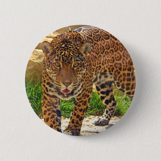 Badge Rond 5 Cm Jaguar (Devant)
