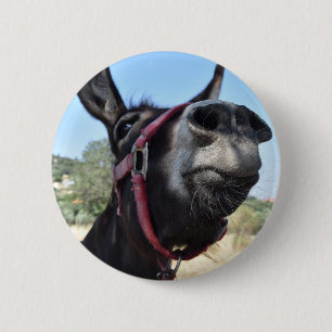 Badge Rond 5 Cm J'aime des ânes !