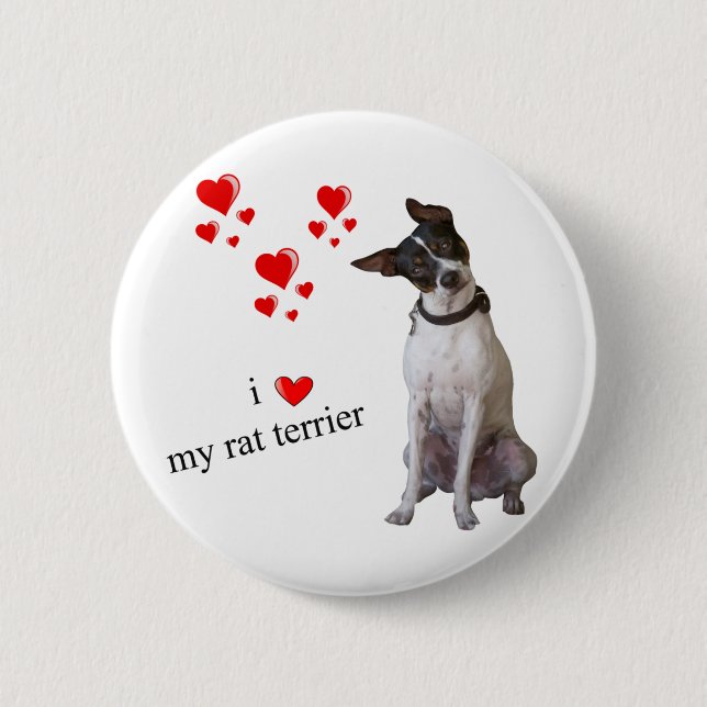 Badge Rond 5 Cm J'aime mon Rat terrier (Devant)