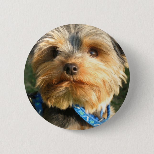 Badge Rond 5 Cm J'aime Yorkies (Devant)
