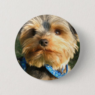 Badge Rond 5 Cm J'aime Yorkies