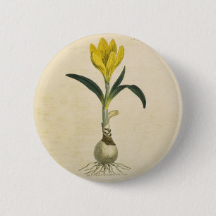 Badge Rond 5 Cm Jardin botanique de tulipe Amaryllis Fleur