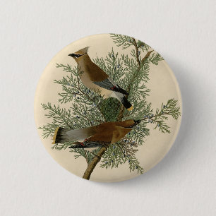 Badge Rond 5 Cm Jaseur d'Audubon