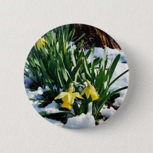 Badge Rond 5 Cm Jaune Daffodils fleurs dans la neige