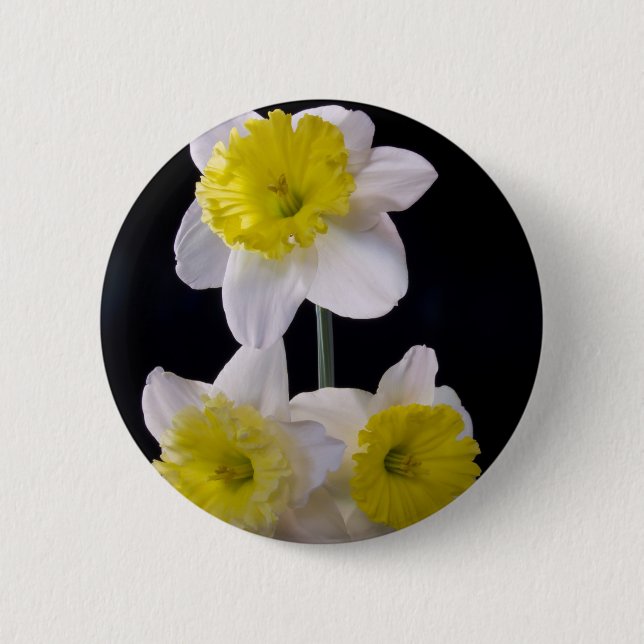 Badge Rond 5 Cm Jaune sur jonquille blanche (Devant)