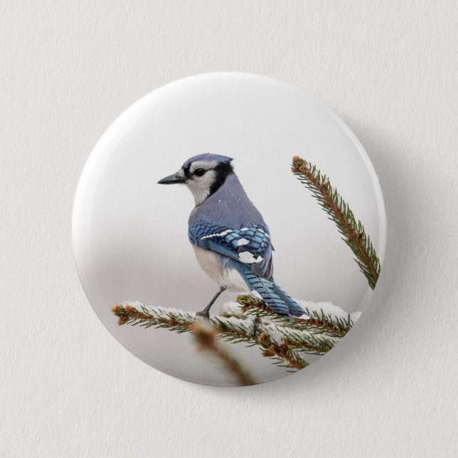 Badge Rond 5 Cm Jay bleu en hiver (Devant)