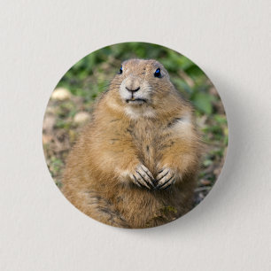 Badge Rond 5 Cm Je ne suis pas gros, je suis un insigne