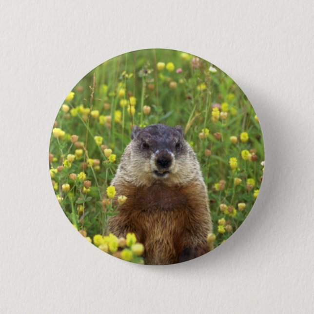 Badge Rond 5 Cm Je suis Groundhog (Devant)