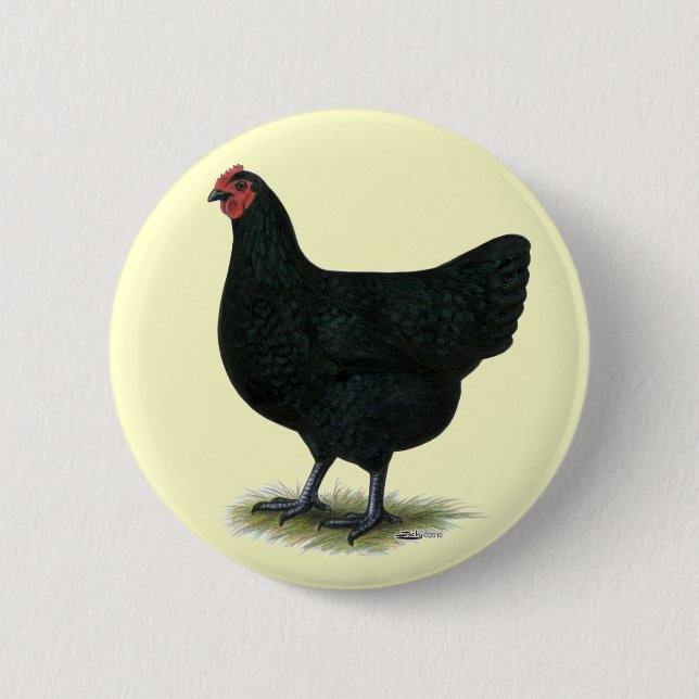 Badge Rond 5 Cm Jersey Giant : Black Hen (Devant)