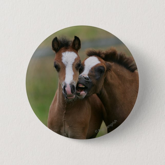Badge Rond 5 Cm Jeu de poulains (Devant)