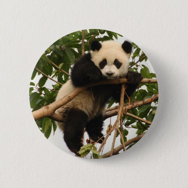 Badge Rond 5 Cm Jeune panda géant (Devant)