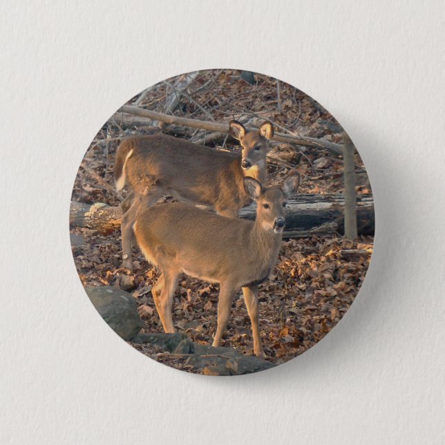 Badge Rond 5 Cm Jeune série de cerf de Virginie (Devant)
