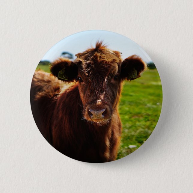 Badge Rond 5 Cm Jeune vache Brown en champ de pâturage (Devant)